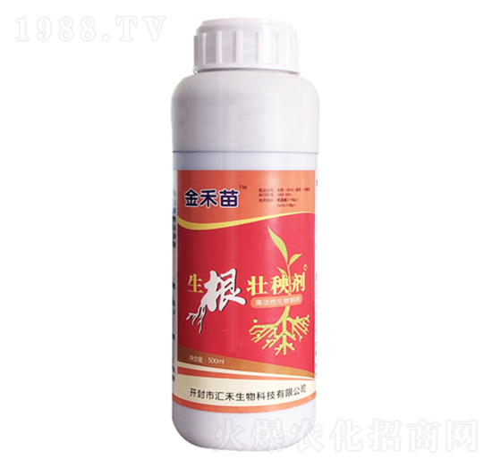 �������턩-�����-�R������