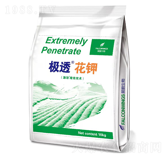 �O͸���-չ�i����