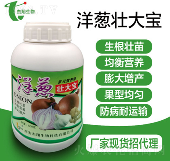 ���[�Ѵ���-��������