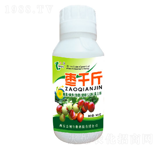 ��ǧ��-��������