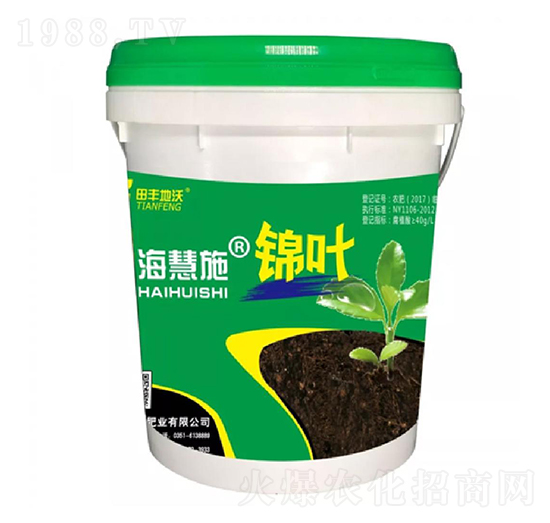 �\�~-����ʩ-���S����