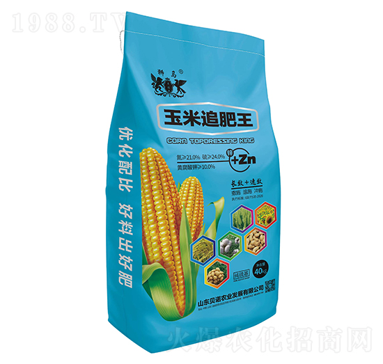 ����׷����-�{�R-ؐ�Z