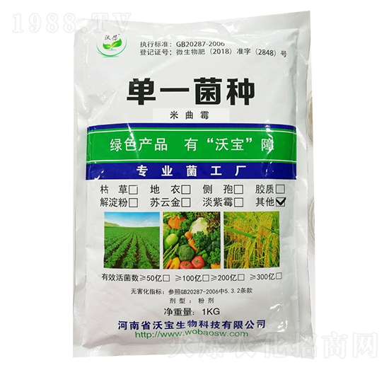 米曲霉-沃寶生物