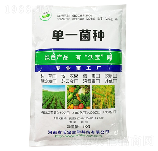 地衣芽孢桿菌-沃寶生物