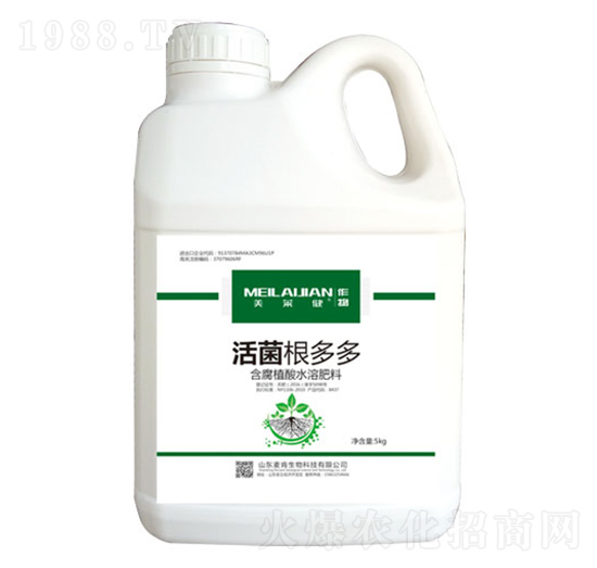 ��������-��������