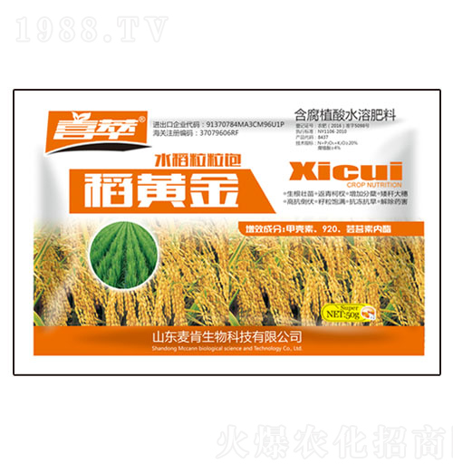 水稻粒粒飽稻黃金-麥肯生物