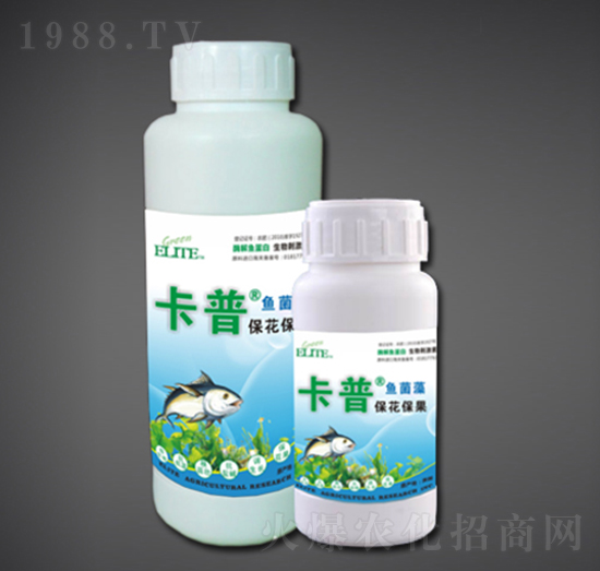 ����������ø���~����-�G�����