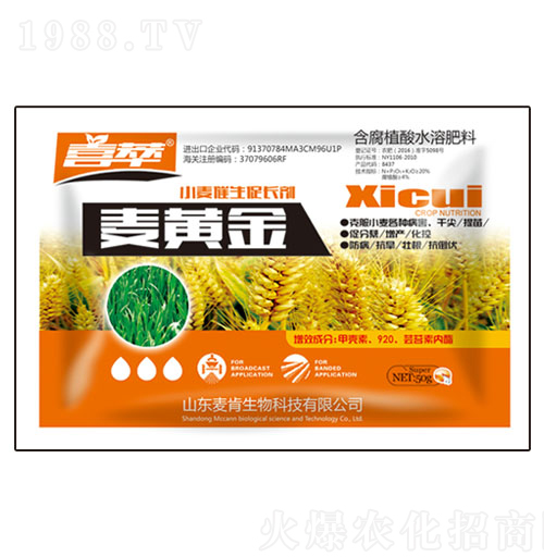 ���S��С���������L��-��������