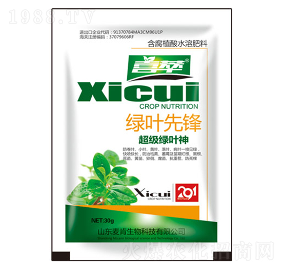 �G�~���h�����G�~��-��������