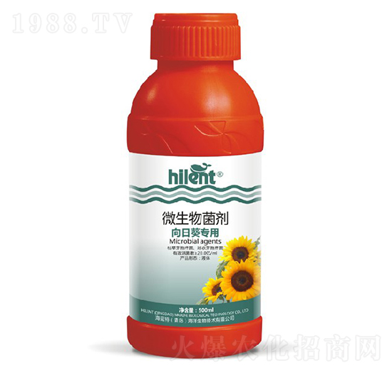 ���տ�����΢�������-���{(l��n)��