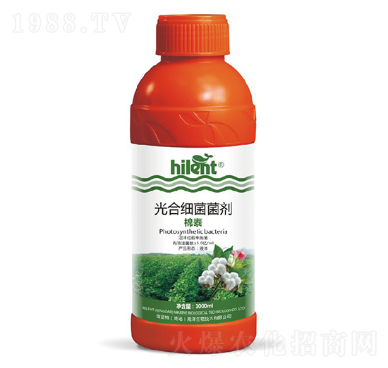 ��ϼ�(x��)������-��̩-���{(l��n)��