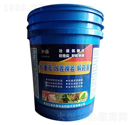 ���ز�Ĳ�Q���ˎ��΢�������-��ɭ�r�I(y��)