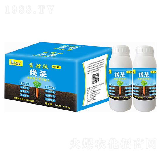 ����-ҫ���Ƽ�