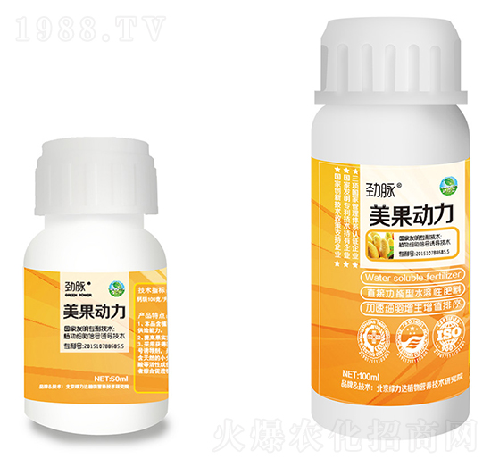 ��������-���}