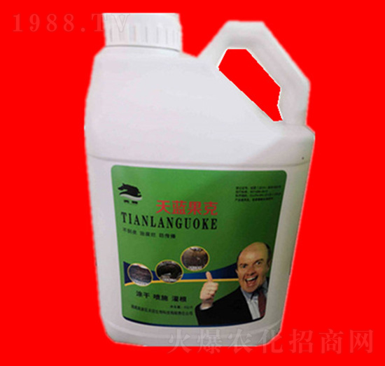 ���{(l��n)����-���R�ʘI(y��)