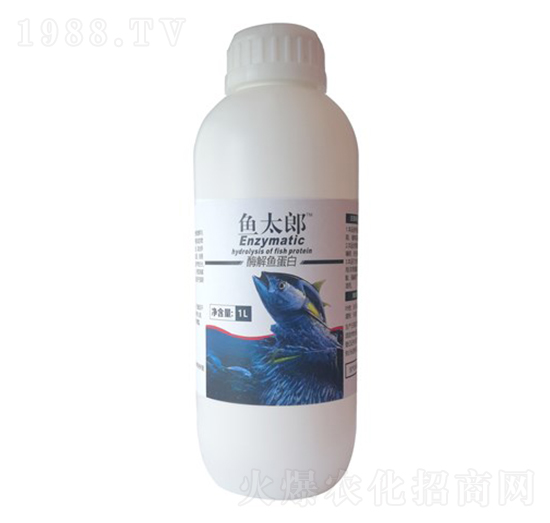 ø���~����-�~̫��-������