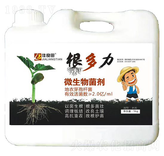 ΢�������-������-���z��