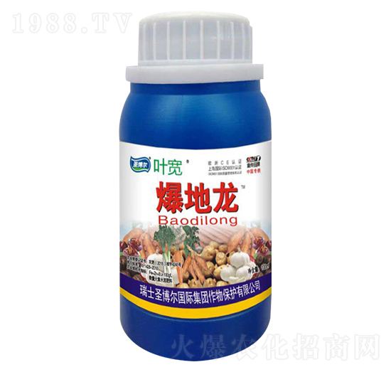 爆地龍-葉寬-圣博爾生物