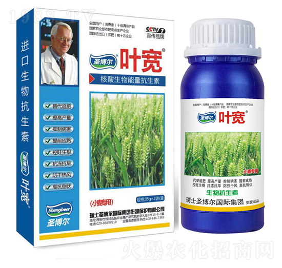 小麥專用葉面肥-多糖生物酶誘抗肽-葉寬-圣博爾生物