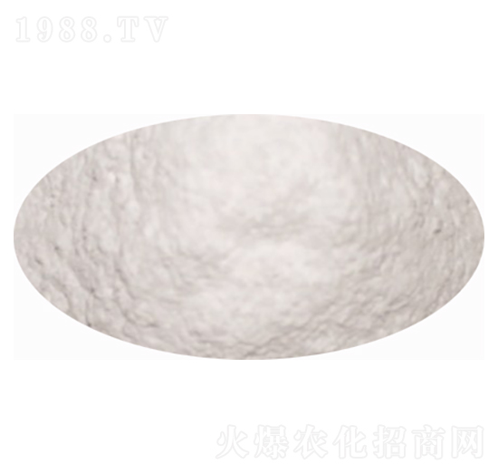 �ۄ���-��ꖉ�