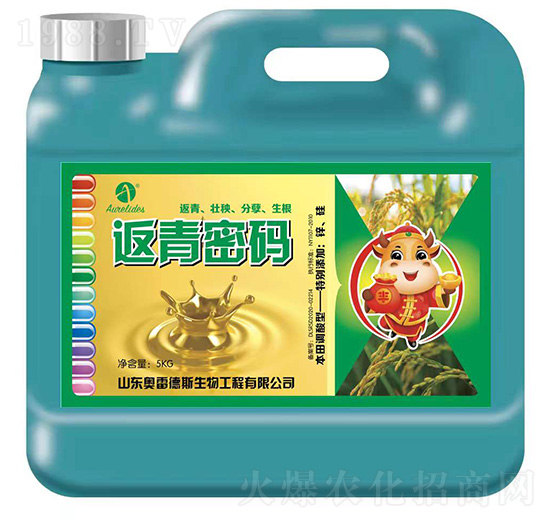 返青密碼-奧雷德斯