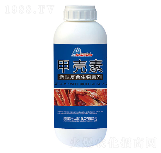 ���͏�(f��)���������-�ך���-�W��ɳ