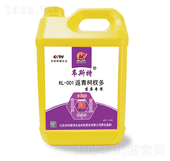 �紲KL-001�����辶�-�f˹��-���r(n��ng)�I(y��)