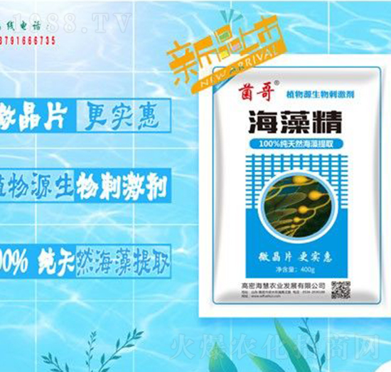 ���徫-����