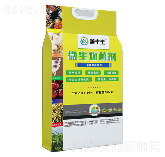 ���ߟ��݌���΢�������-�D�S��