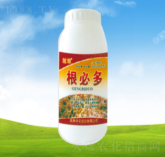 ���ض�-ֲ��-�S�r�r��