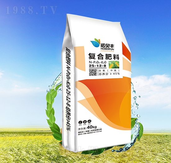 �ͺϷ���25-12-8-�Zؐ�S