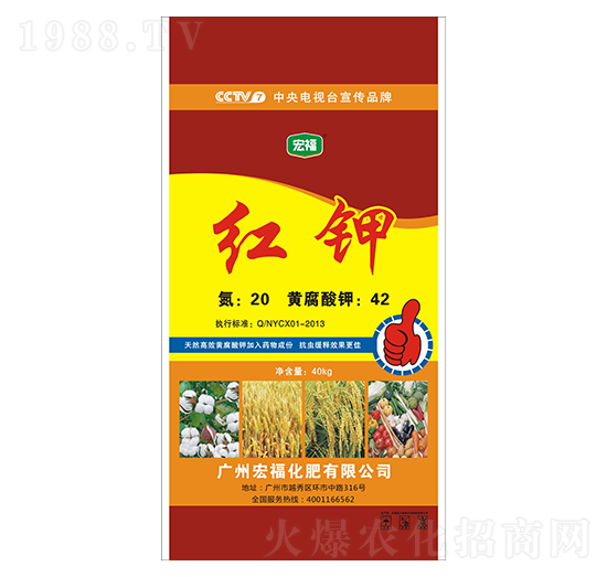 �t�-�������