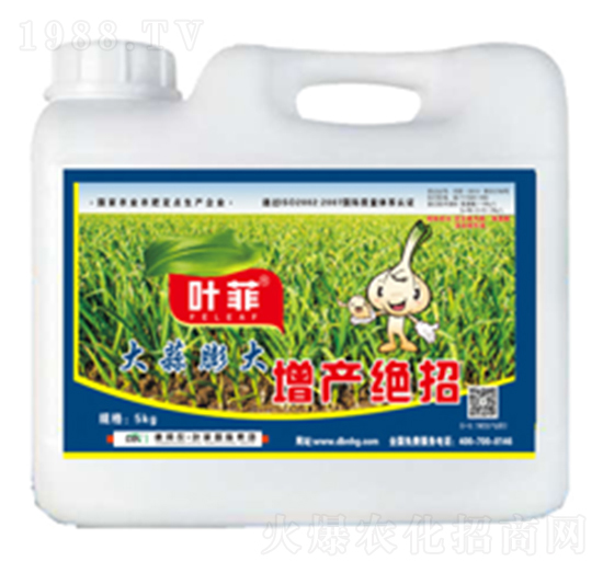 大蒜膨大增產(chǎn)絕招-德邦葉菲