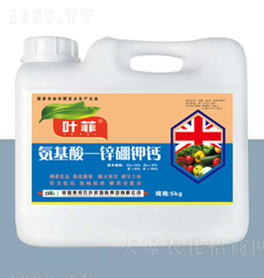 �������\����}-�°��~��