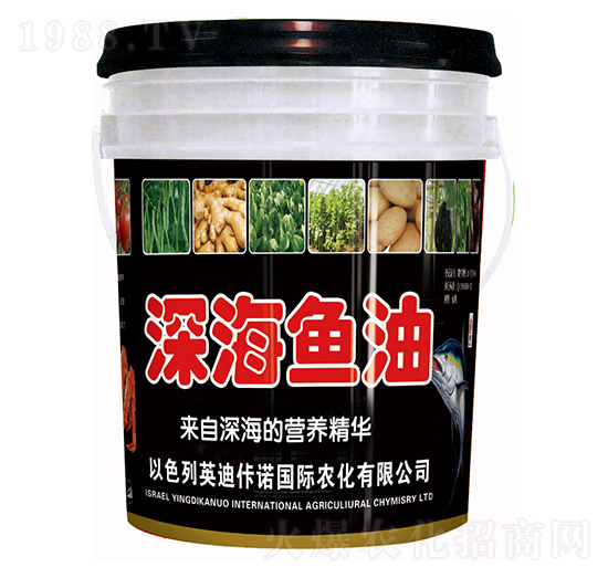 ��~(y��)��-�����ʘI(y��)