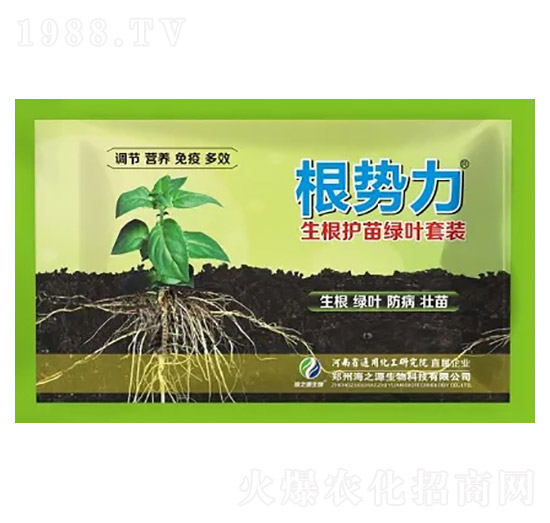 生根護(hù)苗綠葉套裝-根勢(shì)力-海之源
