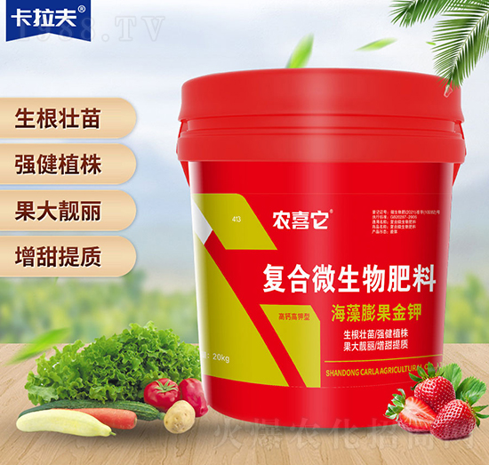 ��(f��)��΢�������-����������-�r(n��ng)ϲ��-������