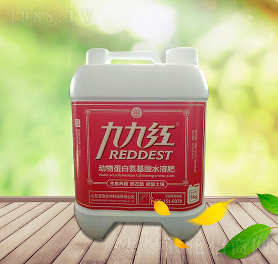 久久紅動物蛋白氨基酸水溶肥-寶瑞生物