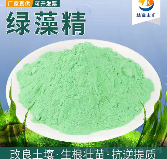 �G�徫-�����Q(m��o)