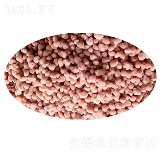 ���򵪷�-���r(n��ng)�r(n��ng)�I(y��)