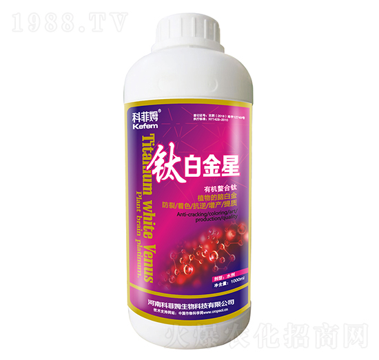 �ЙC(j��)�����-⁰׽���-�Ʒ�ķ