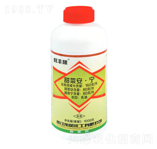 160��ÿ����˰�����-�|�L����