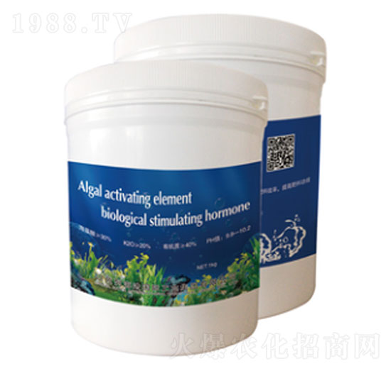 ��������̼���-ʥ�ɶ�