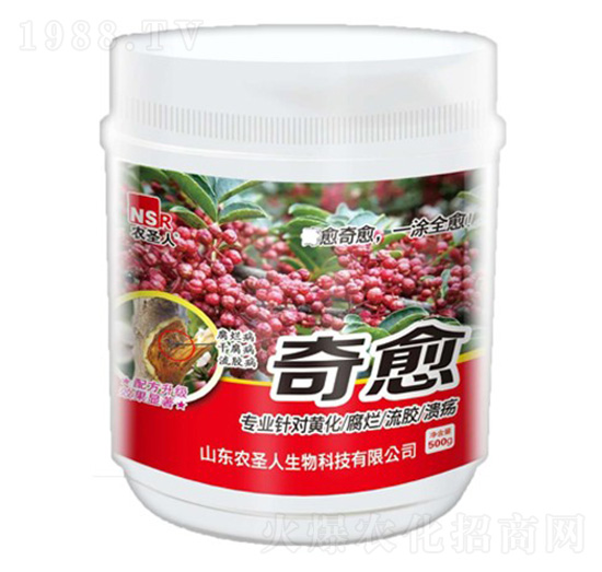 ����-�r(n��ng)ʥ��