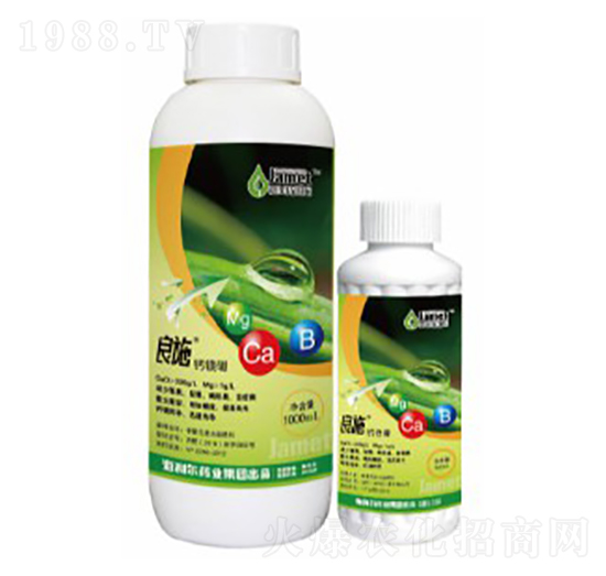 �}�V��-��ʩ-������