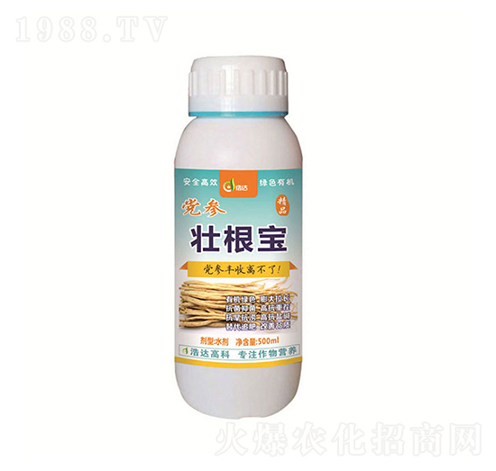 �h���Ѹ���-���_����