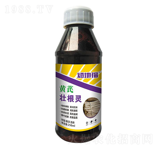 黃芪壯根靈-浩達(dá)生物