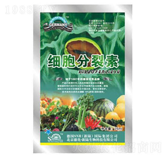 ��(x��)��������-�»�