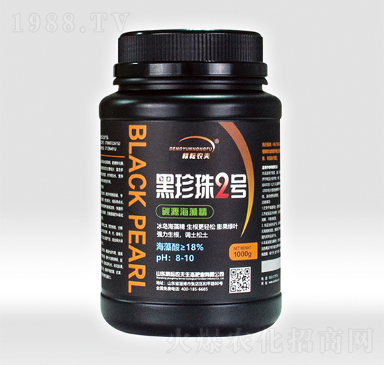 ̼Դ���徫-������2̖-�����r��