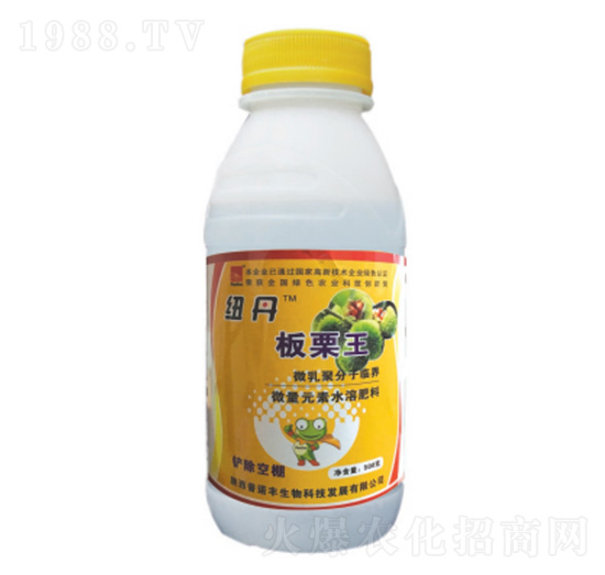 紐丹板栗王-普諾豐